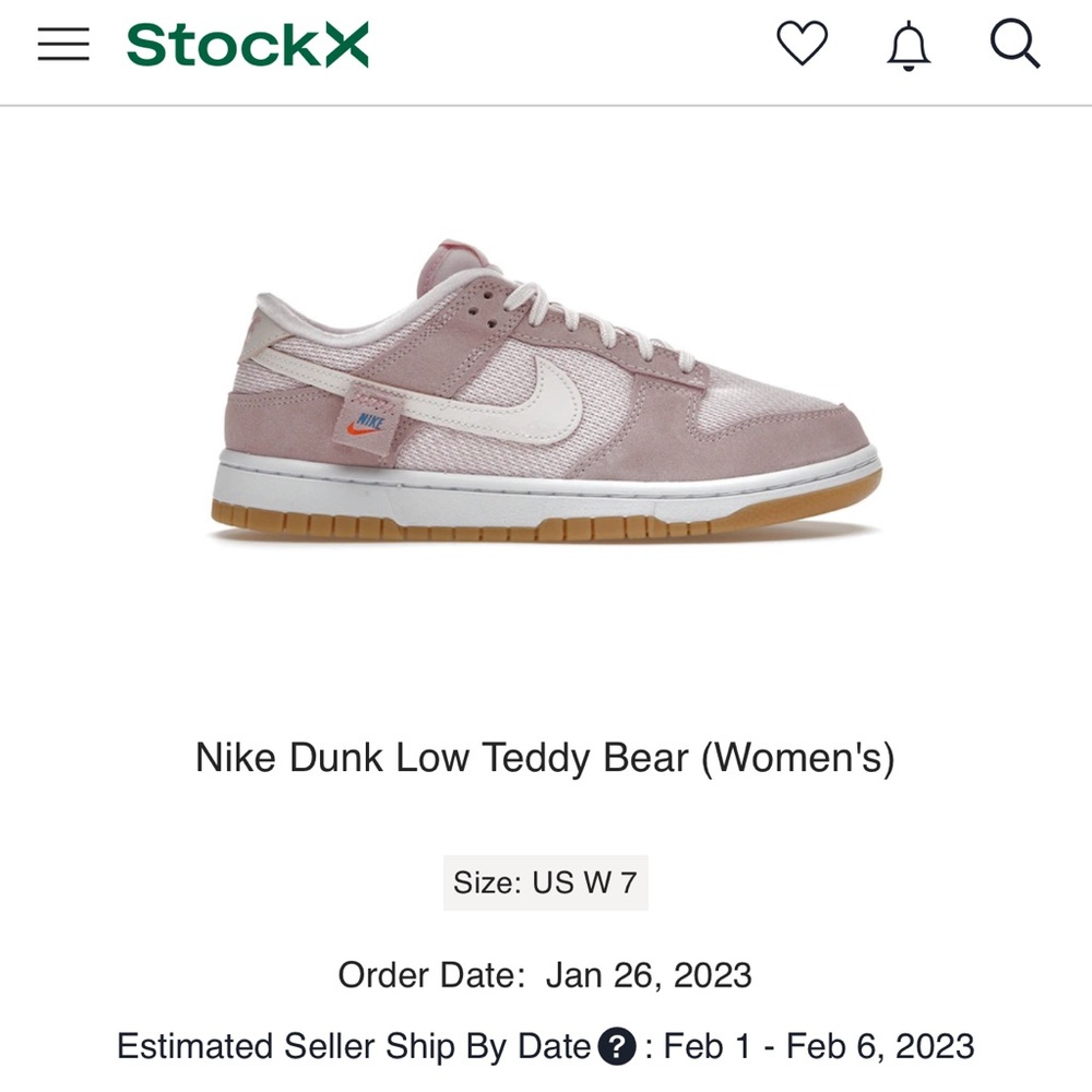 TEDDY BEAR NIKE LOW DUNKS